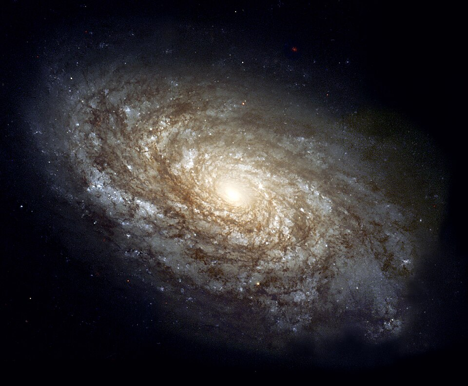Un po’ meno tra le stelle…